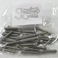 Triumph 500 twin 1969 to 74 Allen engine cover screws stainless screw set