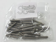 Triumph 500 twin 1969 to 74 Allen engine cover screws stainless screw set