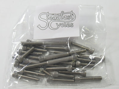 Triumph 500 twin 1969 to 74 Allen engine cover screws stainless screw set