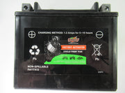 Triumph T100 Bonneville Battery Interstate Batteries YTX12 12V 10Ah 180CCA 01-13