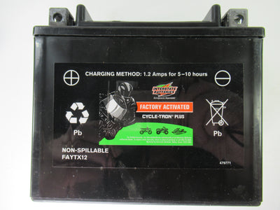 Triumph T100 Bonneville Battery Interstate Batteries YTX12 12V 10Ah 180CCA 01-13