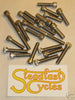 Triumph 650 Allen screw kit 63 64 65 66 67 68 Stainless Steel screws set CEI 26