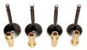 Triumph valves & guides 650 750 unit twins Special Black 70-2904 70-4603 set