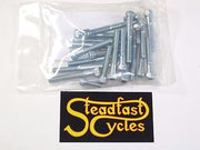 Allen screws kit BSA B44 441 unit single 1969 & 1970 sidecover screw set zinc