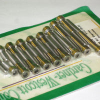 BSA B50 Allen screw kit Stainless steel 500 single
